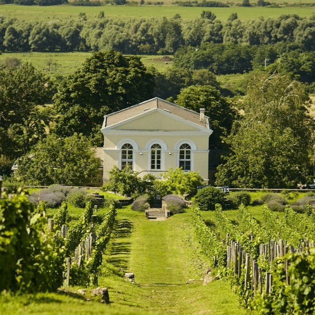 Sárga Borház étterem